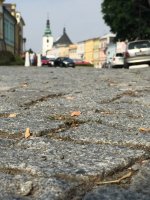 foto529