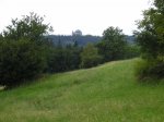 foto95